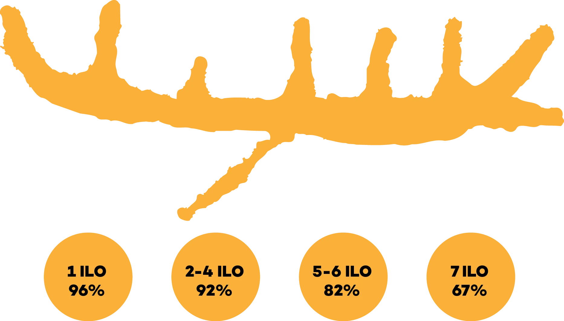 ILO Implementation Stats
