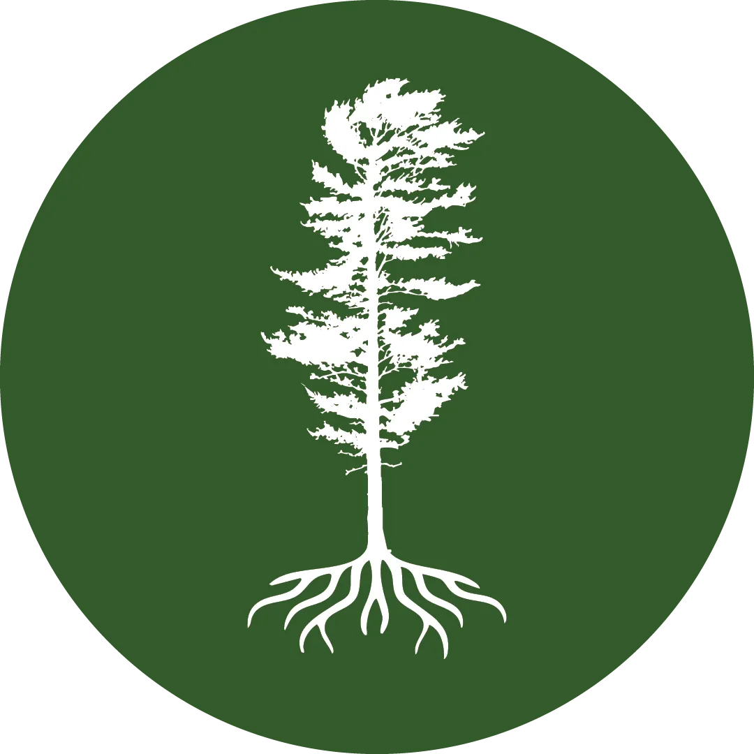 Strategic Plan Logo