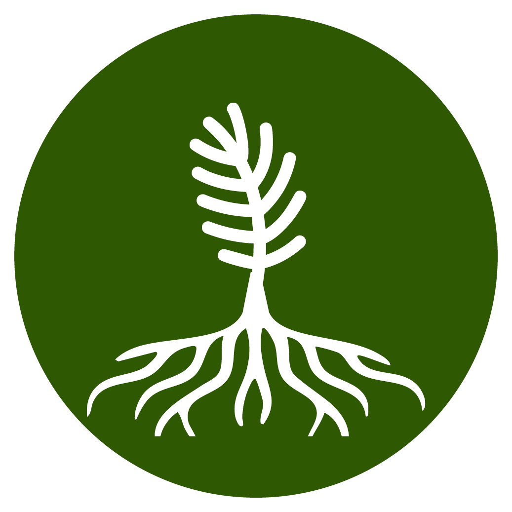Pillar 1